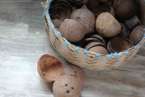 IMG_9783 coconut shells Saivou